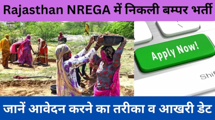 Rajasthan NREGA Vacancy